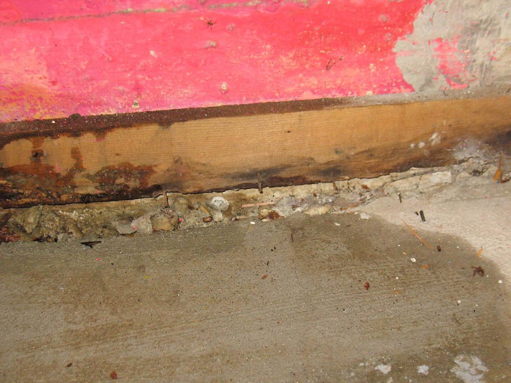 Preventing Water Damage